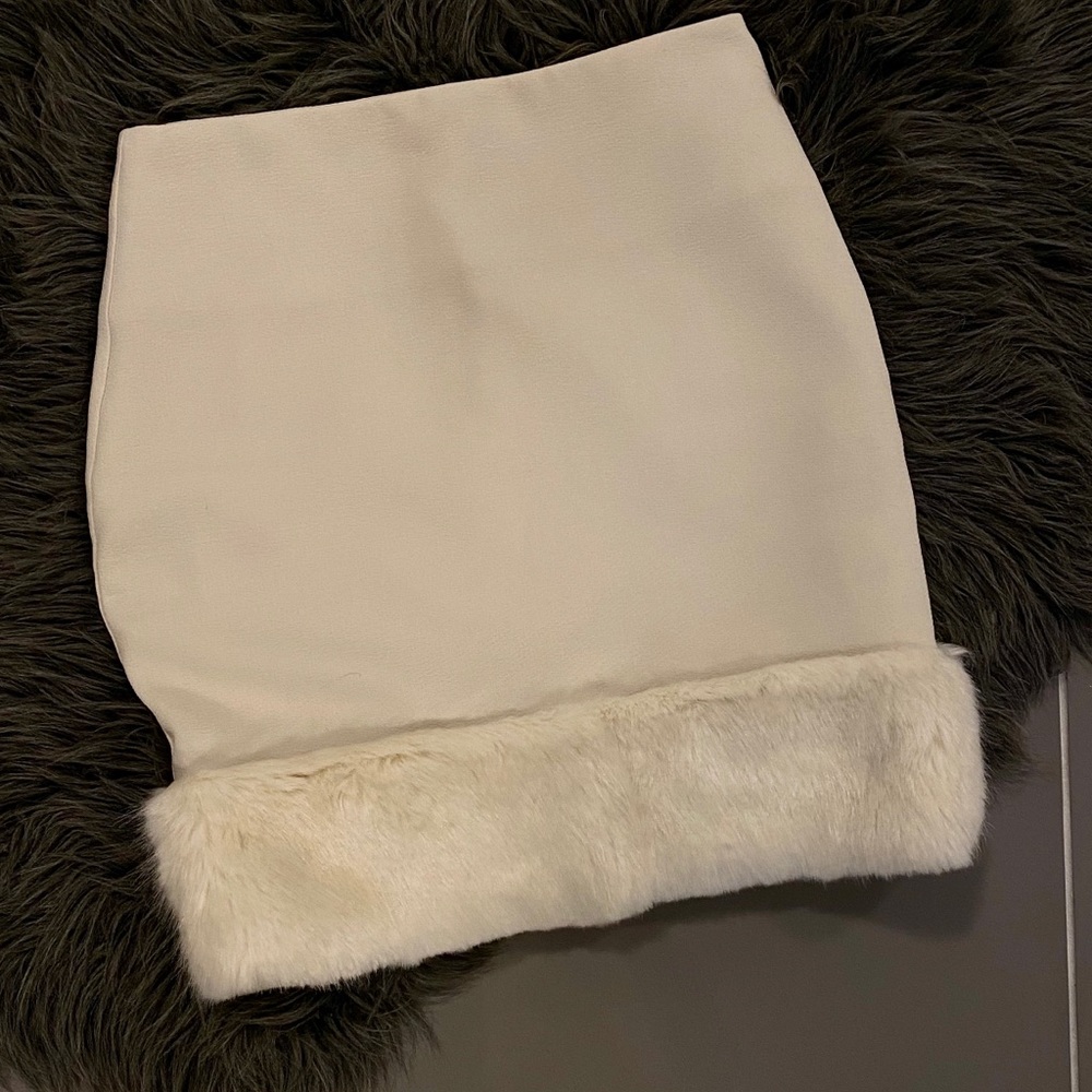 Top Shop Skirt